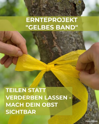 Sharepic Feed Schleife - © ZEHN Sharepic Feed Schleife