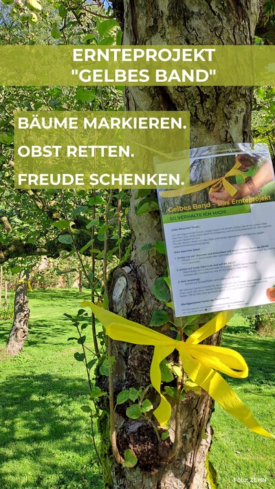 Sharepic Gelbes Band, Plakat, Wiese - © ZEHN Sharepic Gelbes Band, Plakat, Wiese