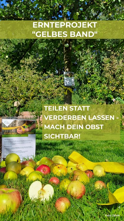 Sharepic Gelbes Band_Ernte_lang - © ZEHN Sharepic Gelbes Band_Ernte_lang