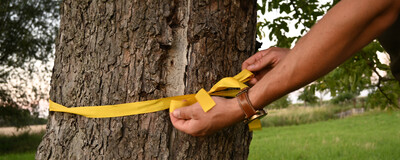 Obstbaumeigentümer*innen aufgepasst! - © ZEHN Banner_Website_Band binden