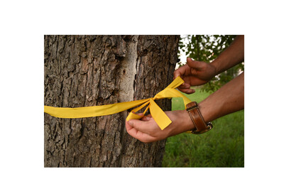 Pressebild jpg ansicht - © ZEHN Pressebild jpg ansicht