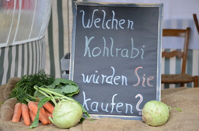 Landfrauen Wittlage