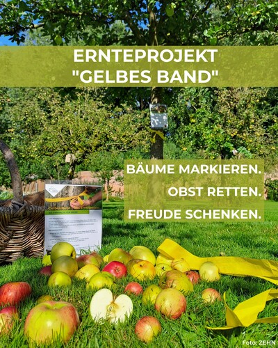 Sharepic Feed Ernte - © ZEHN Sharepic Feed Ernte