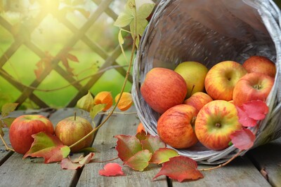 Äpfel - © Rebekka D / pixabay.com Ein umgekippter Korb mit roten und grünen Äpfeln liegt auf Holzbrettern, umgeben von Herbstblättern.