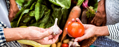 Lebensmittelwertschätzung - © Halfpoint- stock.adobe.com Gemüsekorb
