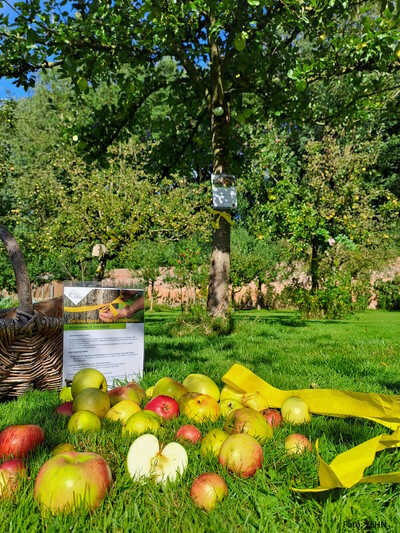 Ernte Gelbes Band 2025 - © ZEHN Ernte Gelbes Band 2025