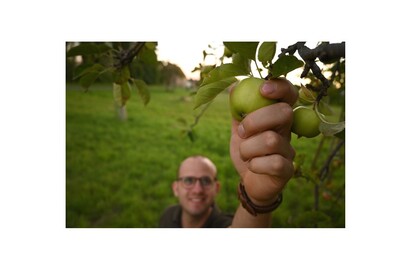 Gelbes Band_Apfel Ernte - © ZEHN Gelbes Band_Apfel Ernte